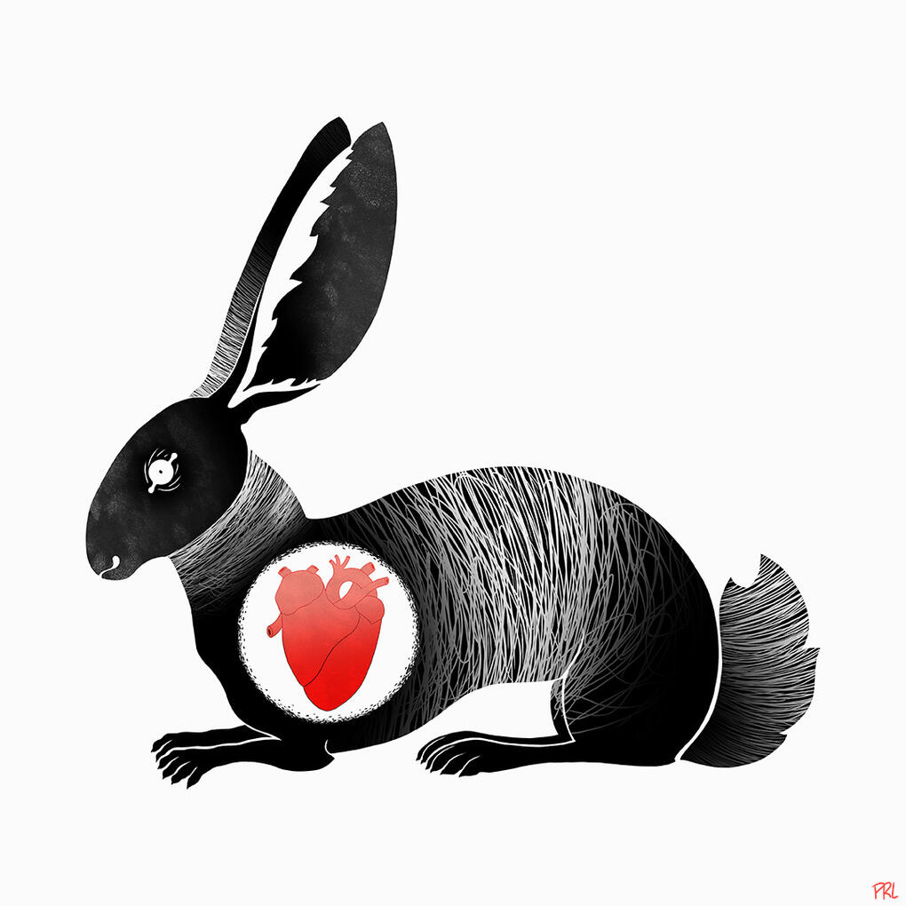 rubatosis (2017) Digital drawing made in Photoshop CS6.