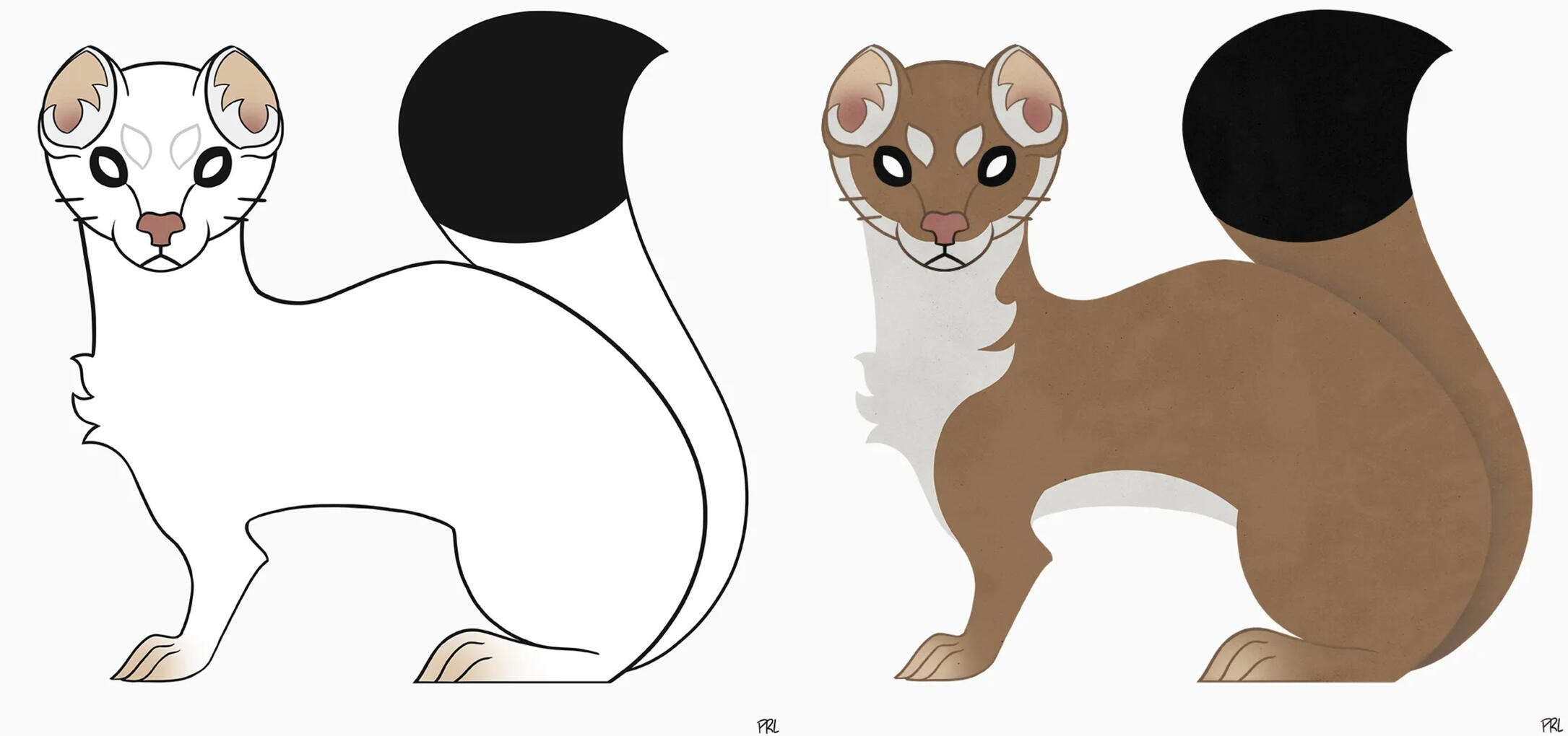 Mustela erminea (2019) Digital drawing made in Photoshop CS6.