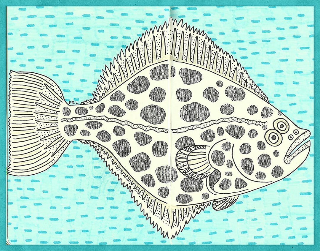 founder (2024) Made with mildliner markers and micron pen. Boarder created in Photoshop CS6.