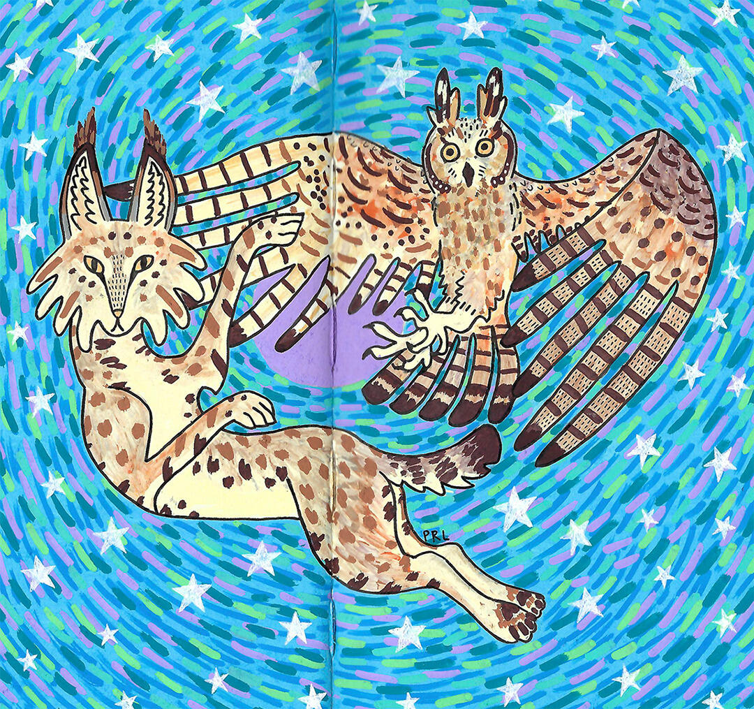 shapeshift: bobcat to long-eared owl (2025) Made with acrylic paint markers, micron pen, and white gel pen.