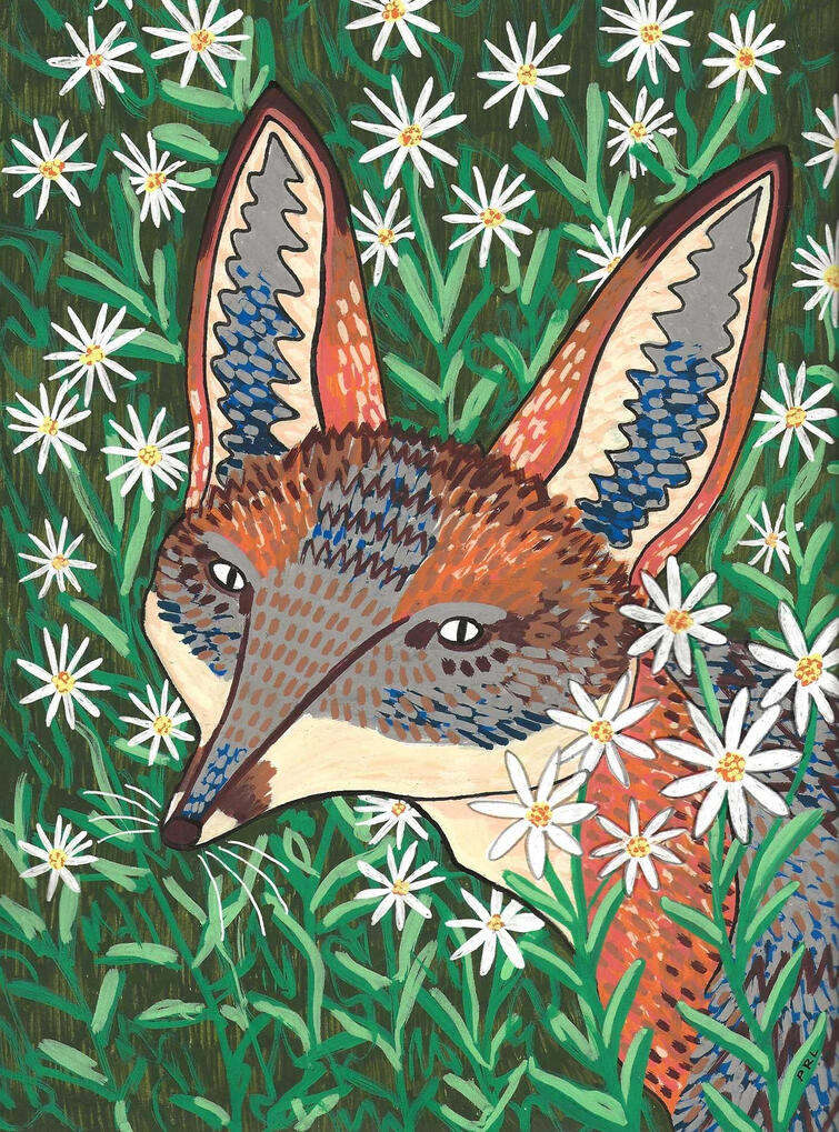 gray fox & white asters (2026) Made with acrylic paint markers, fountain pen, white gel pen, and graphite pencil.