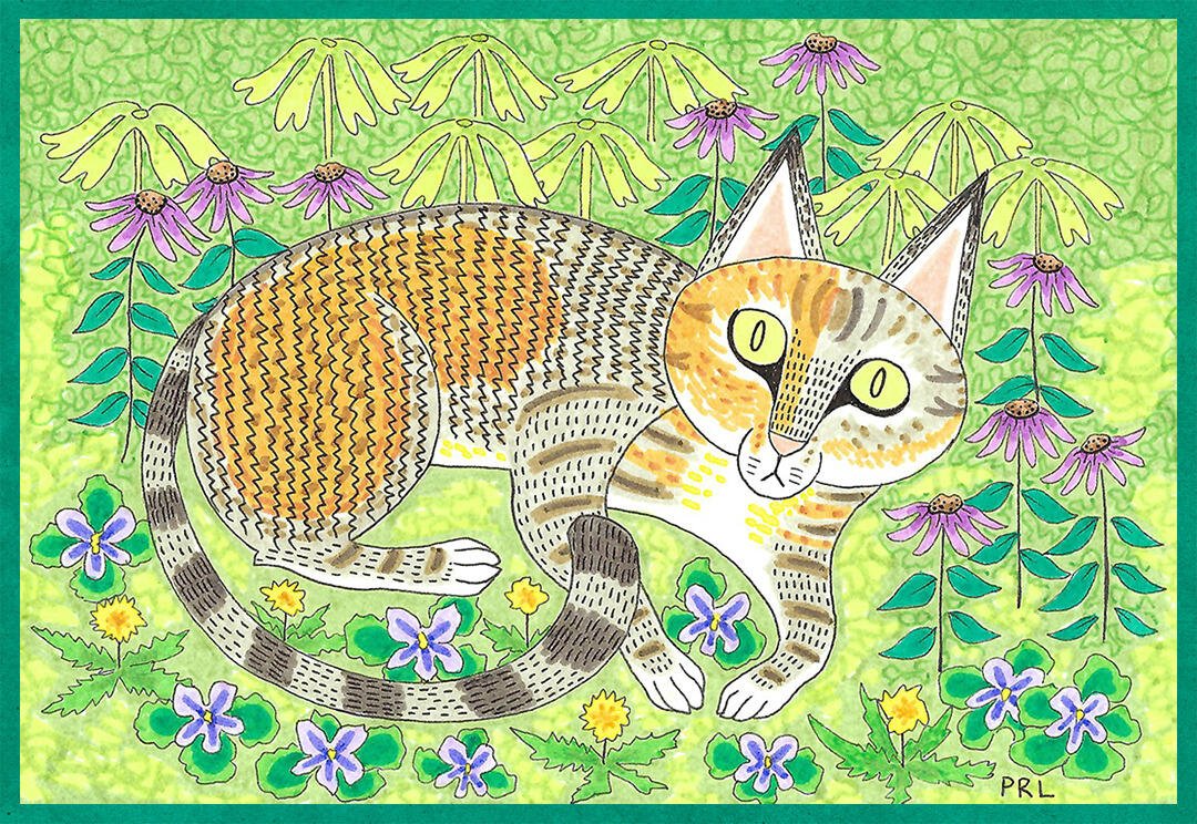 Nadia (2024) Made with mildliner markers and micron pen.
