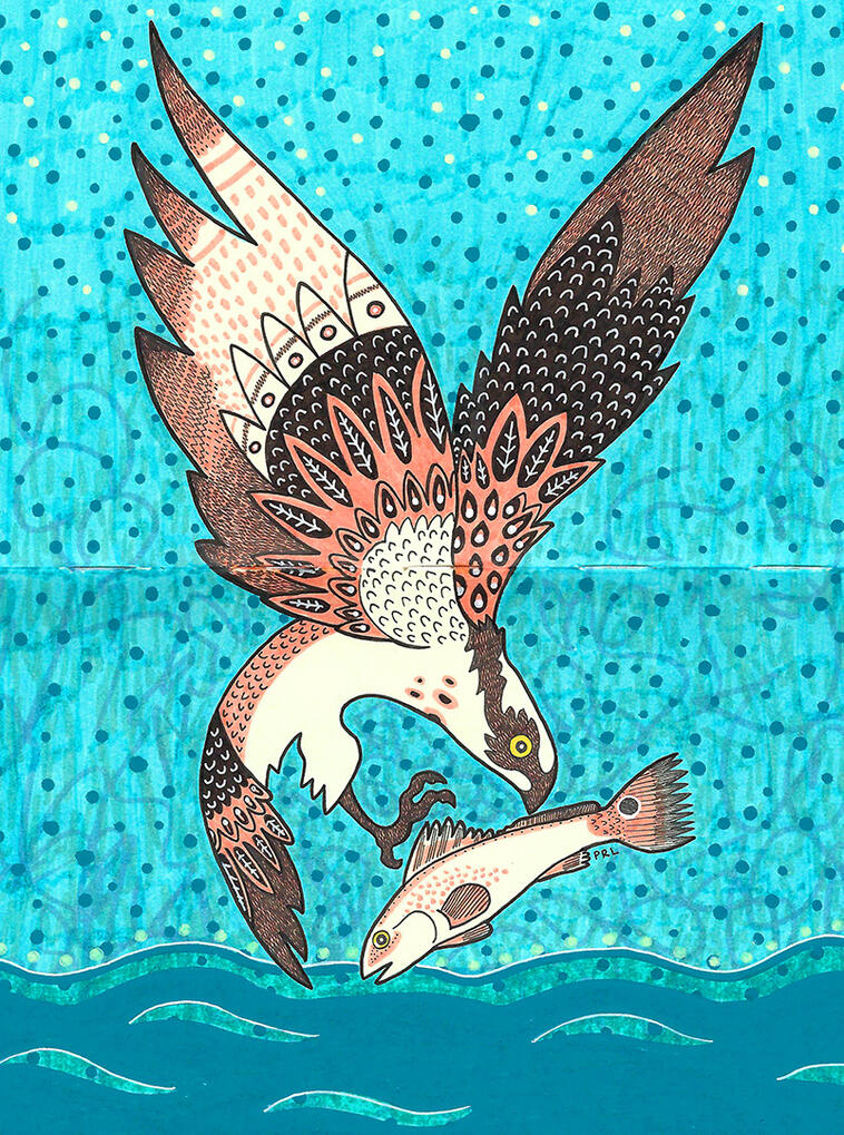 osprey & red drum (2024) Made with acrylic markers, mildliner markers, micron pen, and white gel pen.