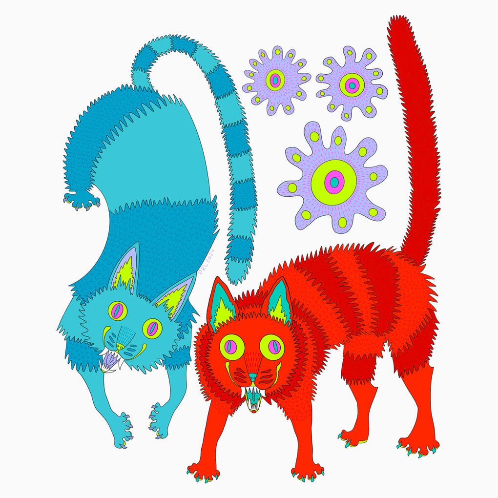 one cat, two cat. red cat, blue cat (2024) Digital drawing made in Procreate.
