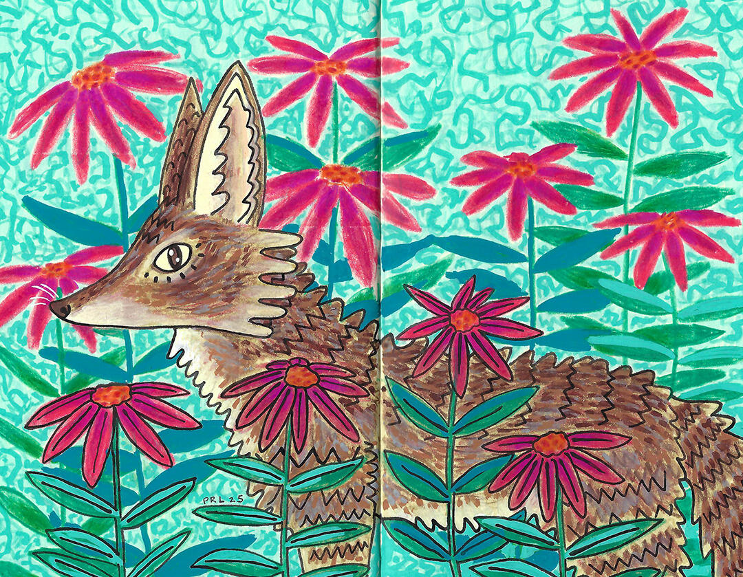 coyote & coneflowers (2025) Made with mildliner markers, colored pencil, acrylic paint markers, fountain pen, and white gel pen.