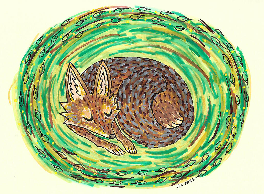 sleeping coyote (2025) Made with acrylic paint markers, mildliner markers, and micron pen.