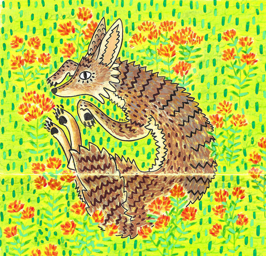 coyote & butterfly weed (2025) Made with colored pencils, acrylic paint markers, micron pen, white gel pen, and fountain pen.