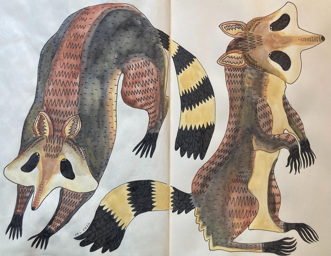 watercolor raccoons (2026) Made with watercolors and fountain pen.