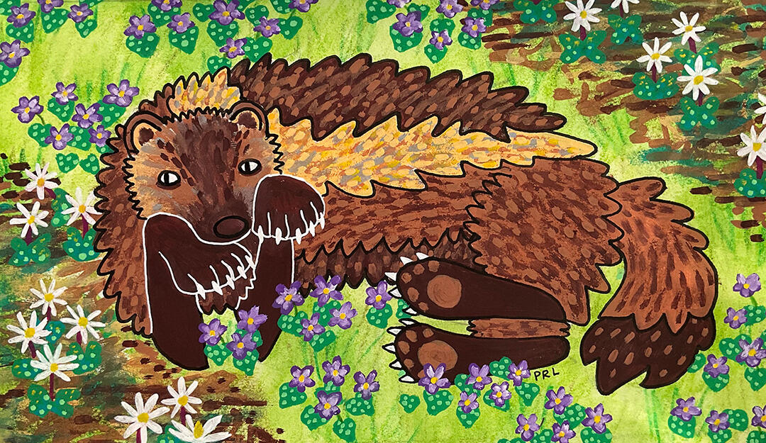 wolverine with bloodroots and violets (2026) Made with acrylic paint markers, watercolor pencil, fountain pen, and white gel pen.